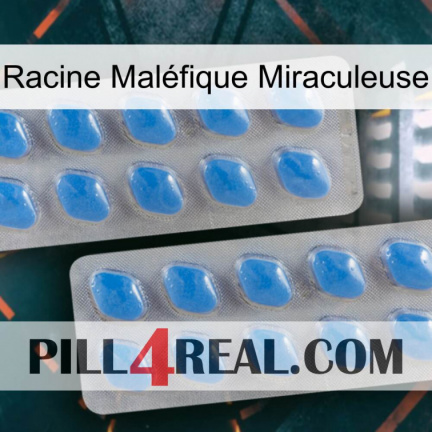 Racine Maléfique Miraculeuse 23